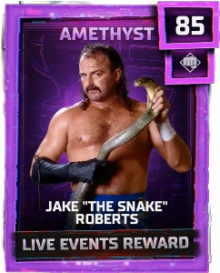 Jake "The Snake" Roberts