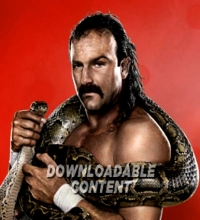 Jake Roberts