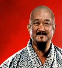 Mr Fuji