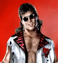 Shawn Michaels (Retro)