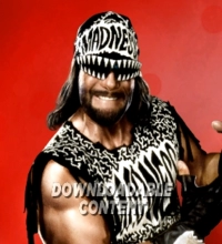 Randy Savage (n.W.o.)