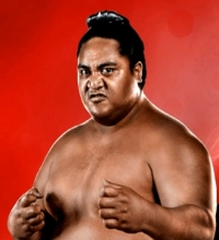Yokozuna