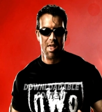 Scott Hall (n.W.o.)