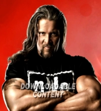 Kevin Nash (n.W.o.)