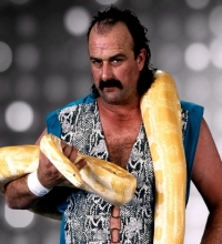 Jake Roberts
