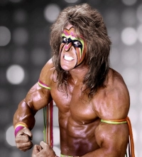 Ultimate Warrior