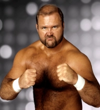 Arn Anderson