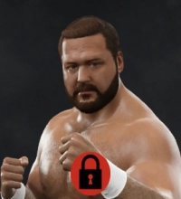 Arn Anderson