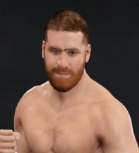 Sami Zayn