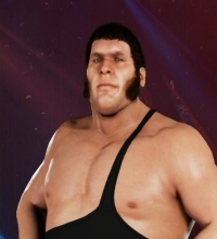 Andre The Giant