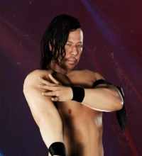Shinsuke Nakamura