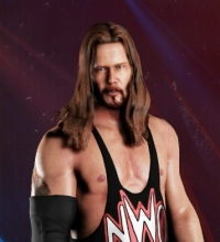 Kevin Nash