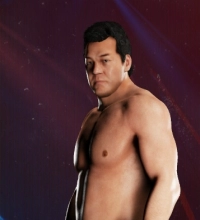 Tatsumi Fujinami