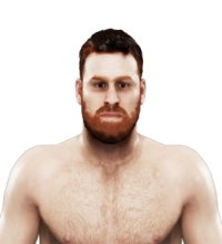 Sami Zayn