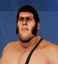 Andre The Giant