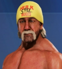 Hollywood Hulk Hogan