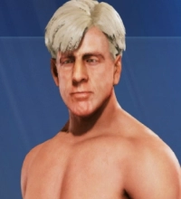 Ric Flair '91