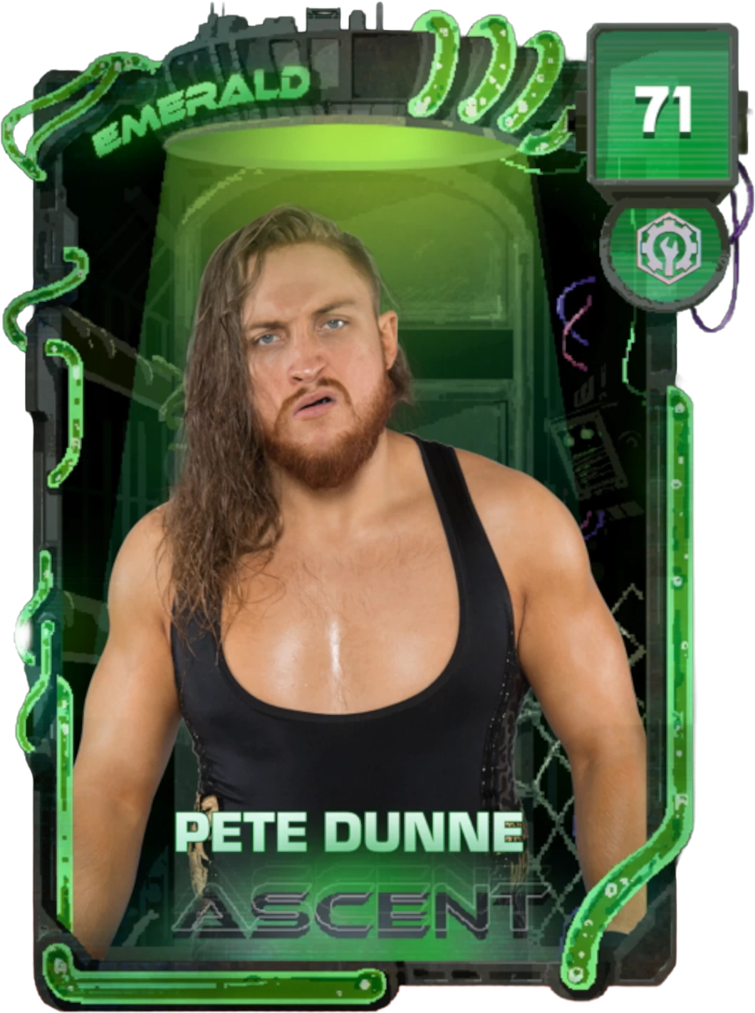 Pete Dunne