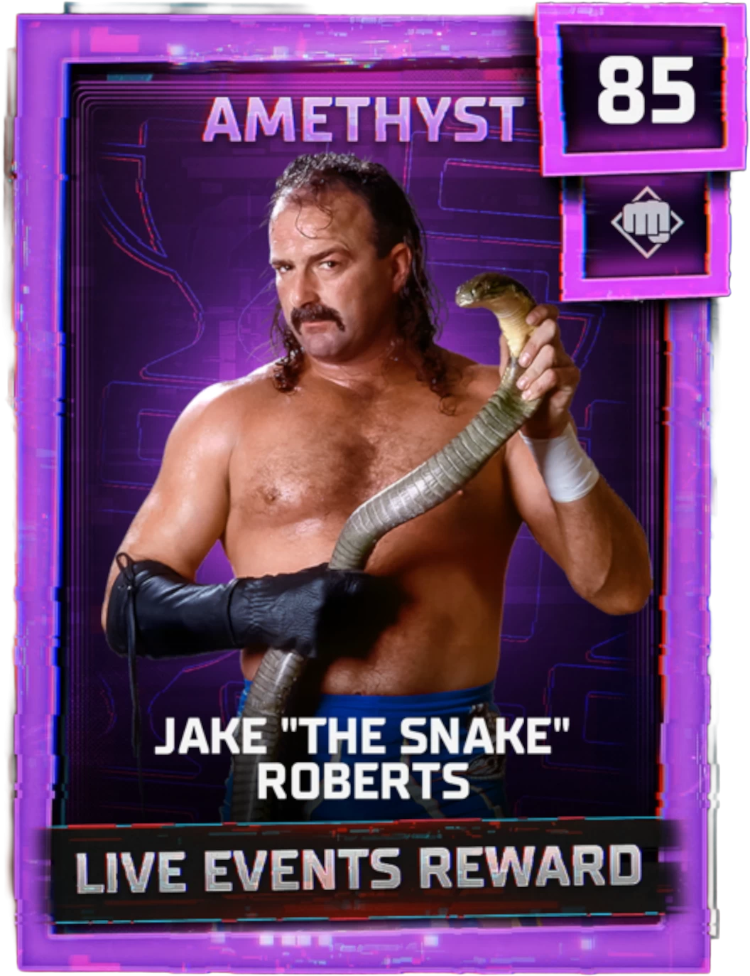 Jake "The Snake" Roberts