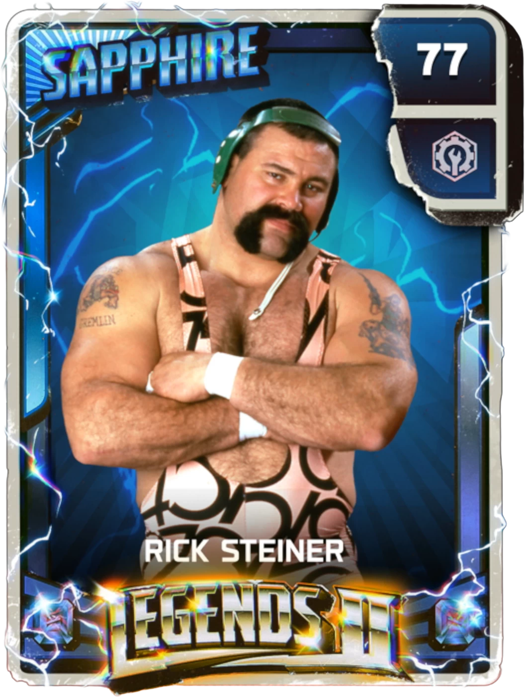 Rick Steiner