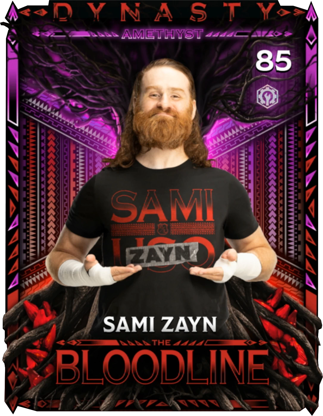 Sami Zayn