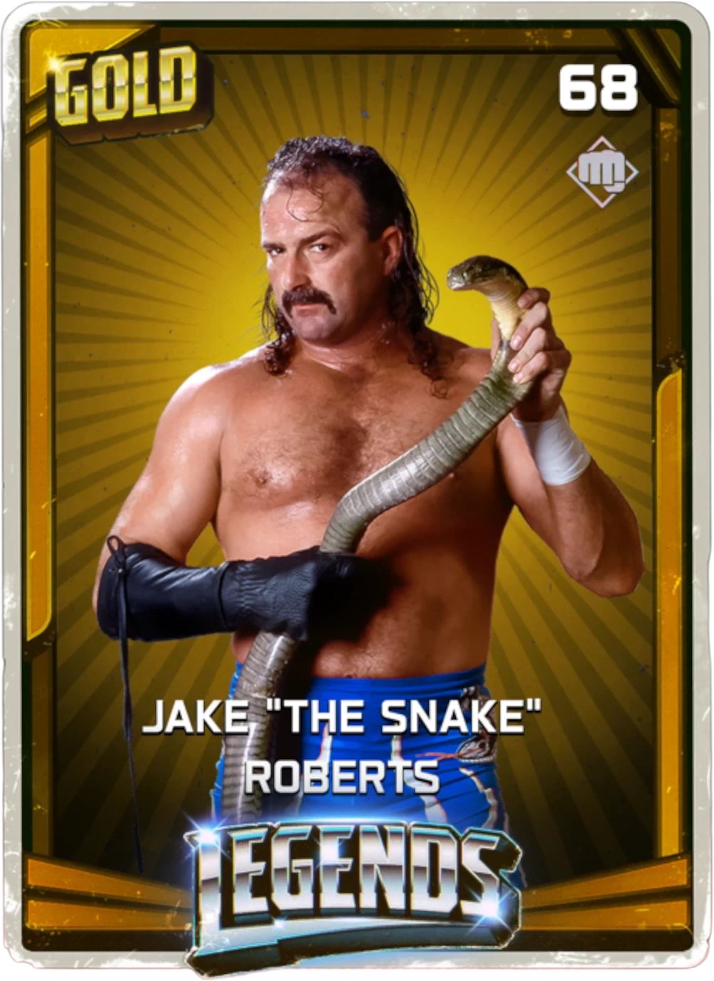 Jake "The Snake" Roberts