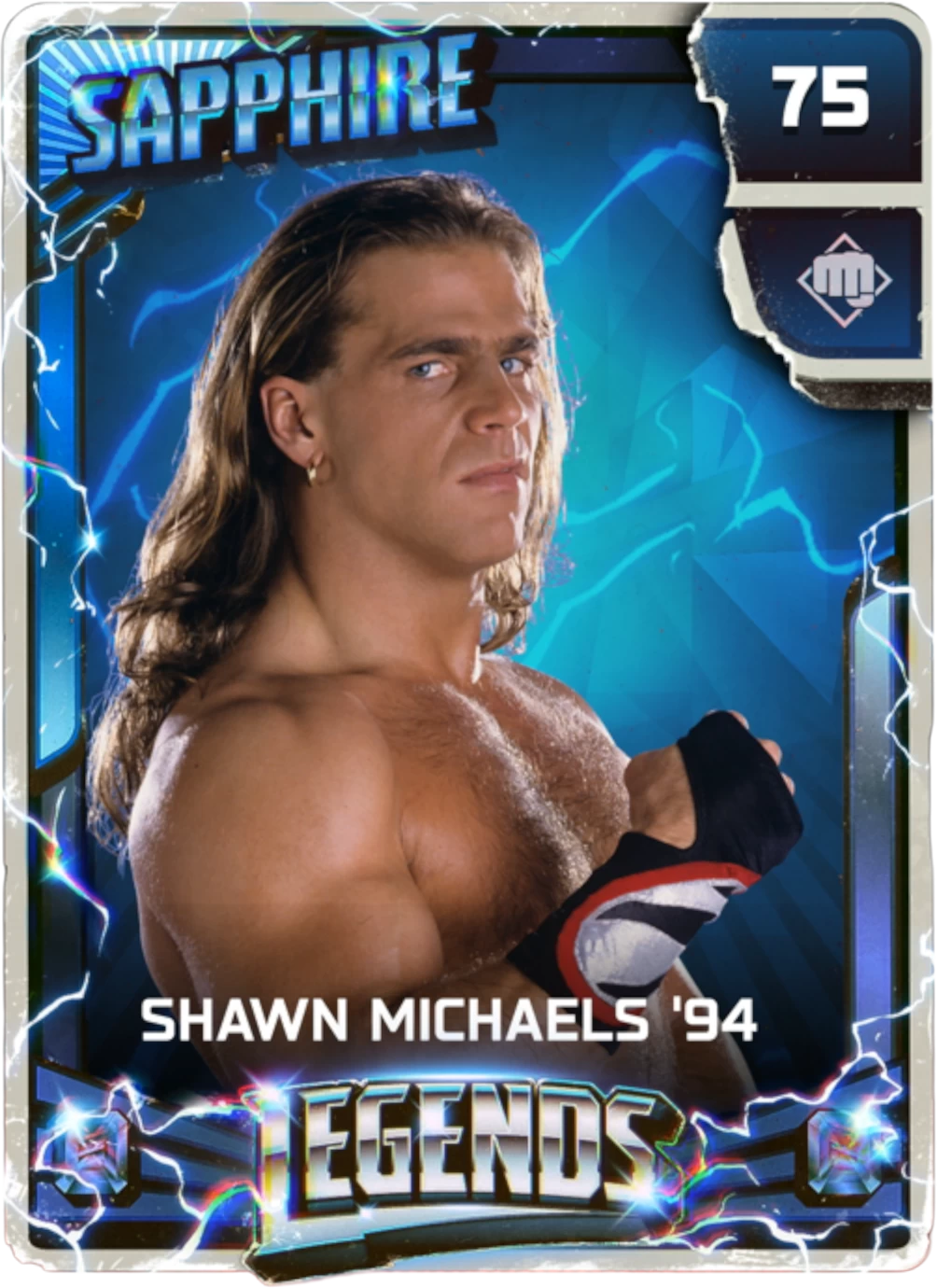 Shawn Michaels '94