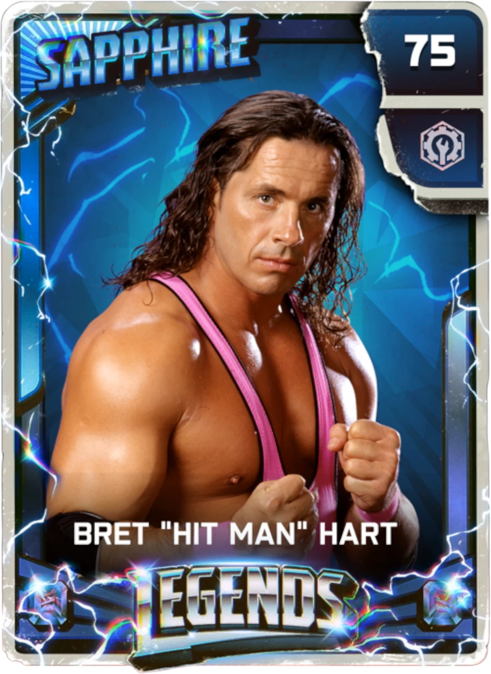 Bret "Hit Man" Hart