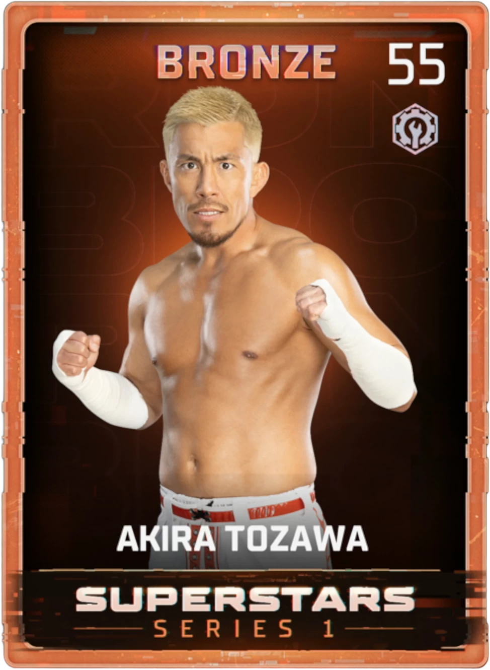 Akira Tozawa