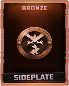 Bird Of Prey