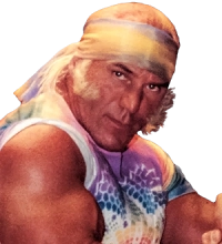 Superstar Billy Graham