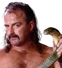 Jake "The Snake" Roberts