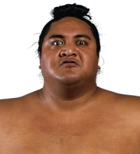 Yokozuna