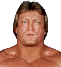 Mr Wonderful Paul Orndorff