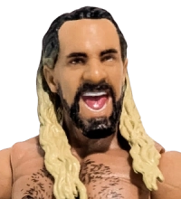 Seth Rollins