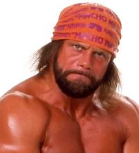 Macho Man Randy Savage