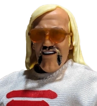 Hulk Hogan