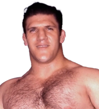 Bruno Sammartino
