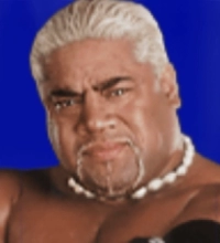 Rikishi