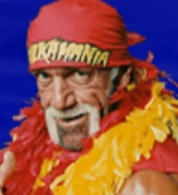 Hollywood Hulk Hogan
