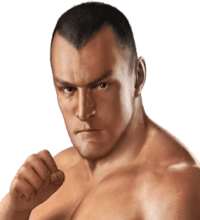 Vladimir Kozlov