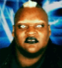 Viscera
