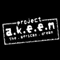 project a.k.e.e.m