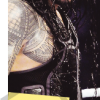 Roman Reigns