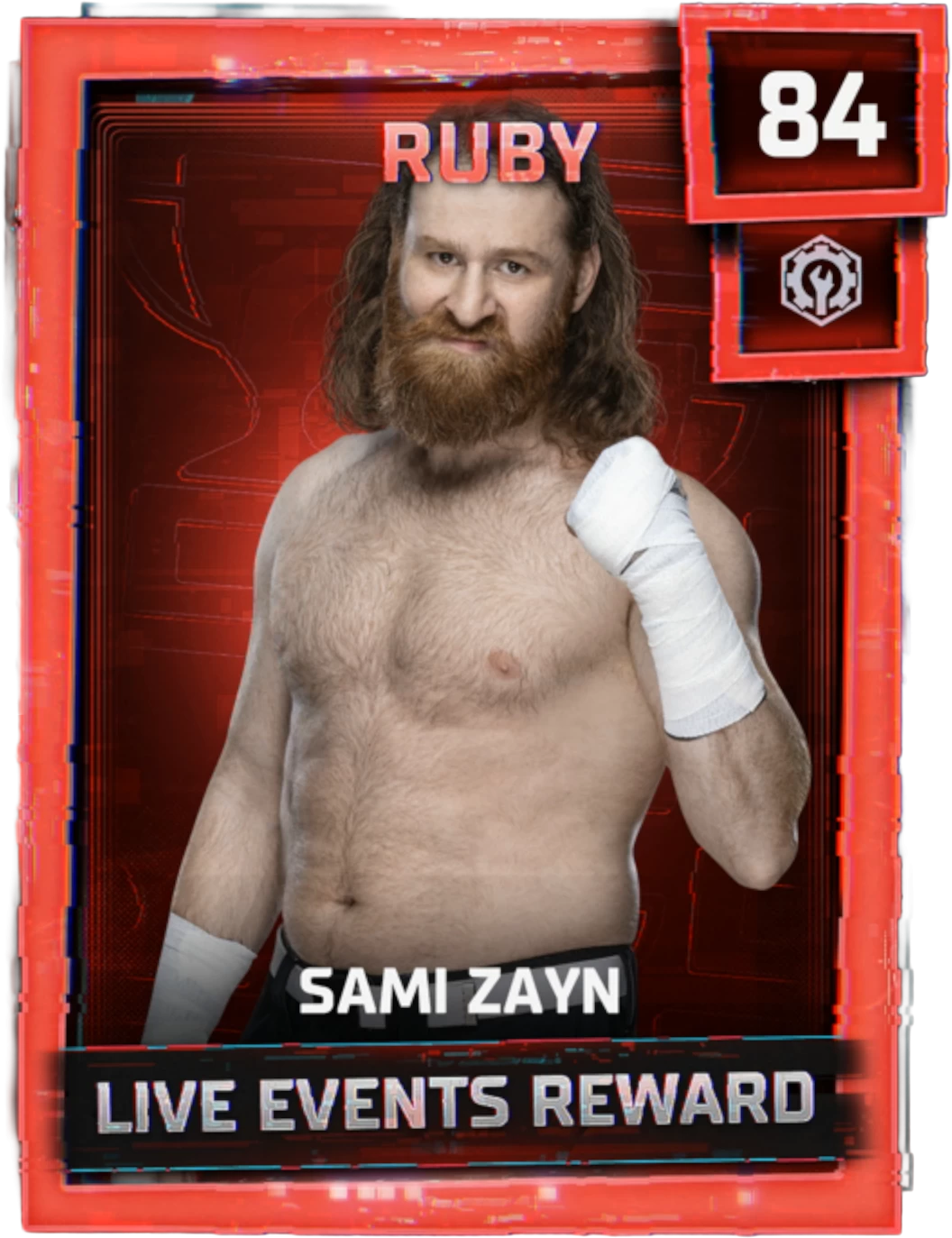 Sami Zayn